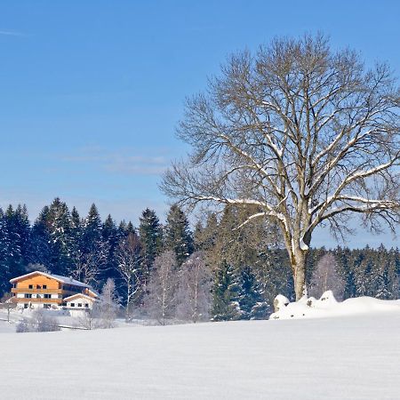 Landhotel Moorhof Neuschönau Esterno foto