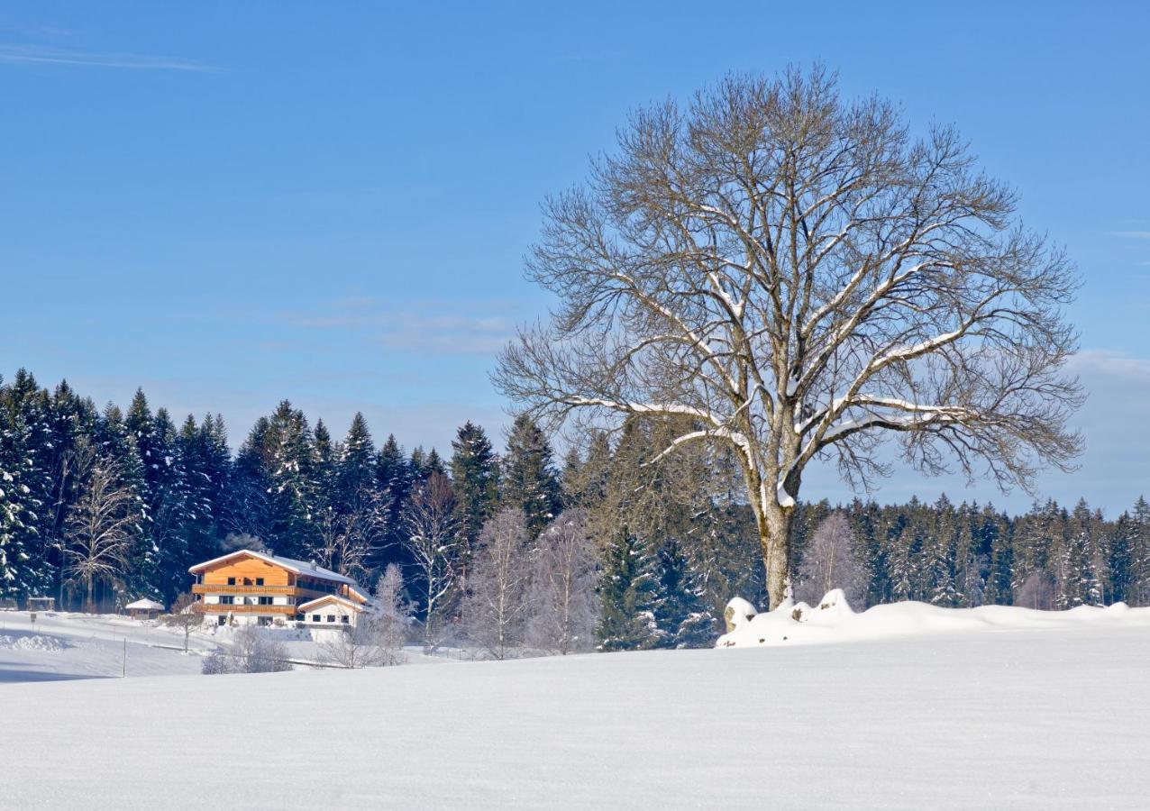Landhotel Moorhof Neuschönau Esterno foto